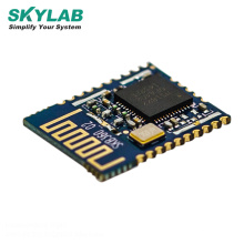 SKYLAB 1.7V~3.6V nrf52832 UART /I2C/SOI communication protocol  bluetooth amplifier circuit module with PCB ANTenna